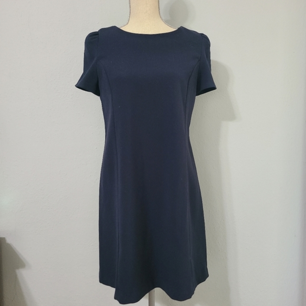 Zara Navy Blue Shift Cap‎ Sleeve Stretch Women Dress Navy